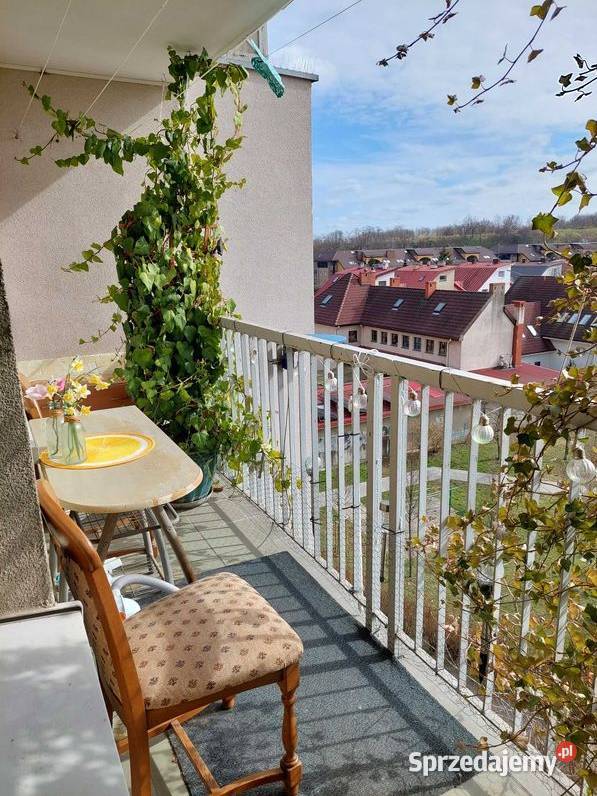 3pok 62met Piławskiej BALKONPIWNICAWINDA Wrocław dolnośląskie sprzedam