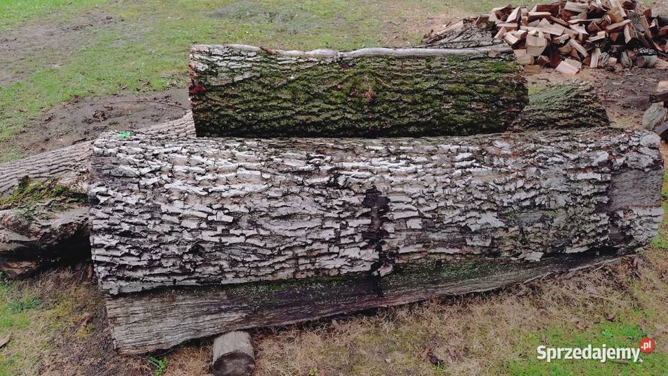 Drzewo Orzecha KlockiKłody Przeworsk sprzedam