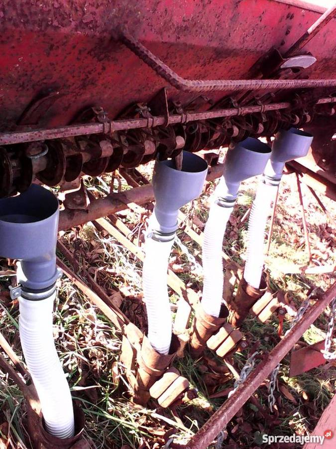 sadzarka do czosnku cebuli bobu 4 rzędowa sprzedam