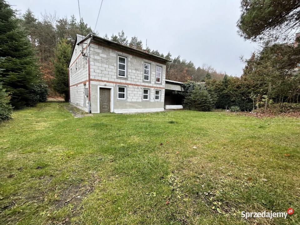Twój Azyl Dom z ogrodem i warsztatem lesie Sprzedaż Tomaszów Lubelski sprzedam