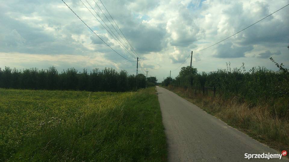 działka budowlanarolna gmina CHYNÓW mazowieckie Budziszynek sprzedam