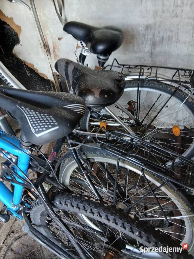 Rowery Solec Kujawski