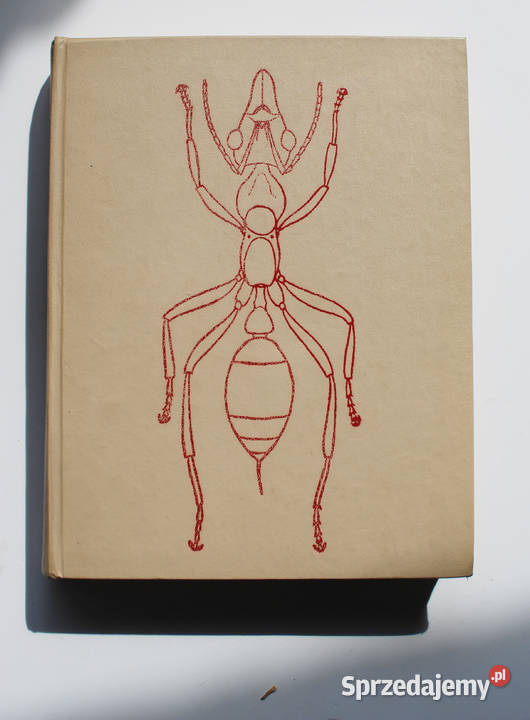 Społeczeństwa owadów Wilson