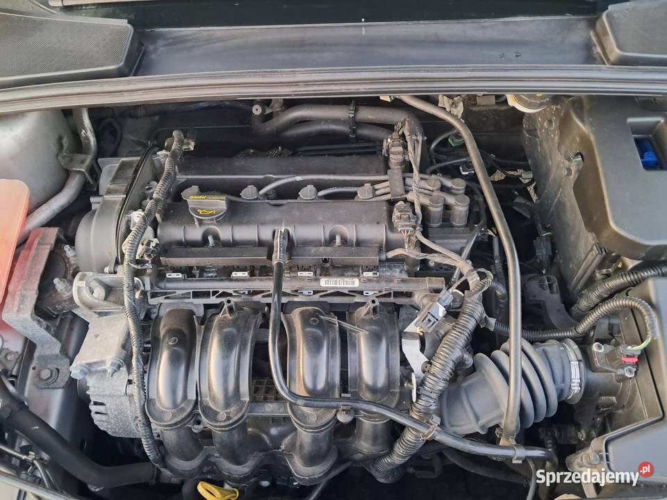 Ford Focus 16 zwykła benzyna tempomat z Niemiec Pleszew