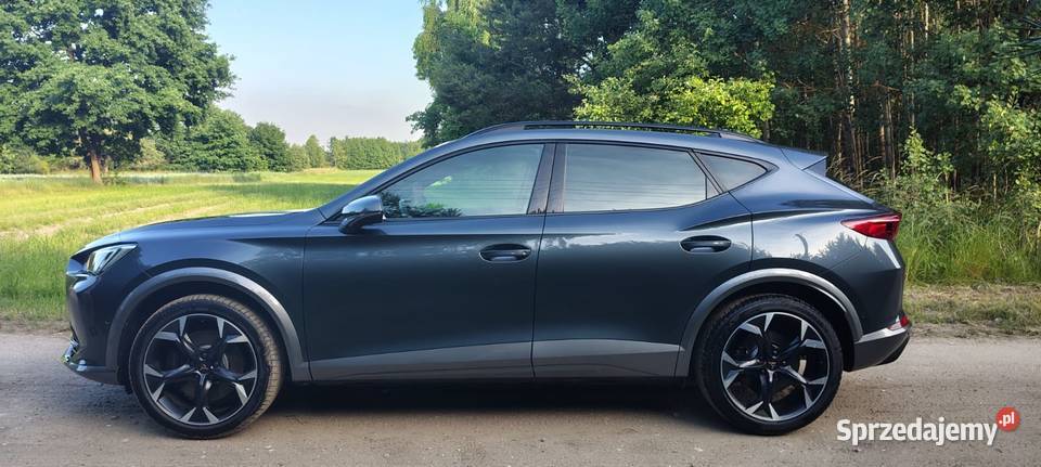 Cupra Formentor VZ 20 TSI 245 2022 1984cm3