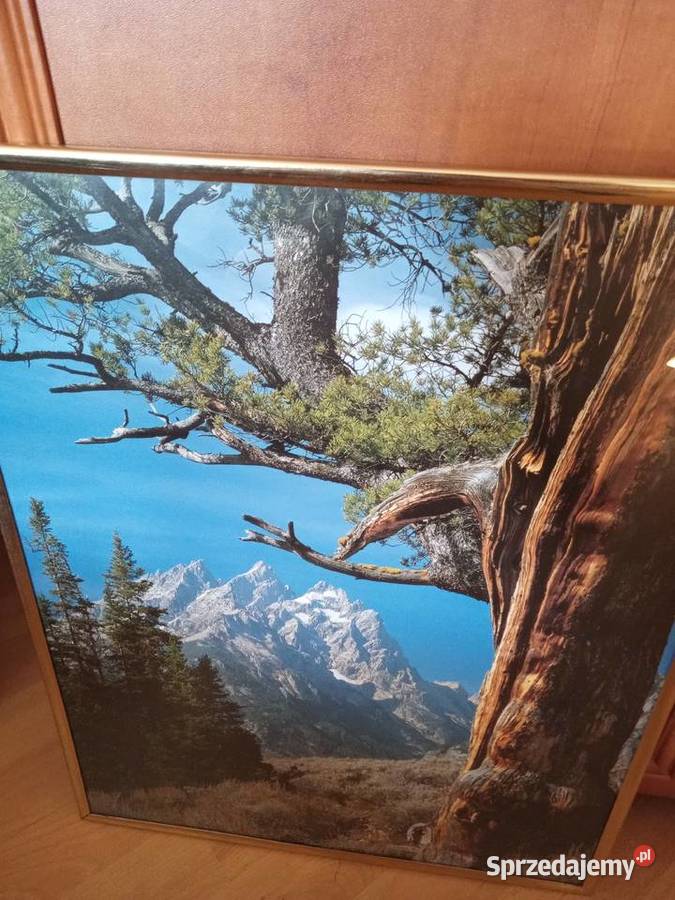 Obraz reprodukcja owoce wodospad góry