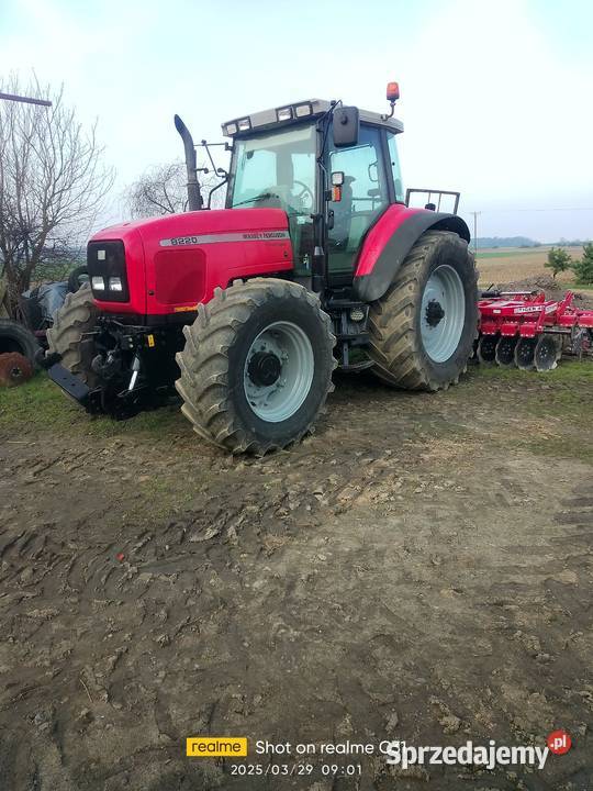 Sprzedam Massey Ferguson 8220 opolskie Praszka