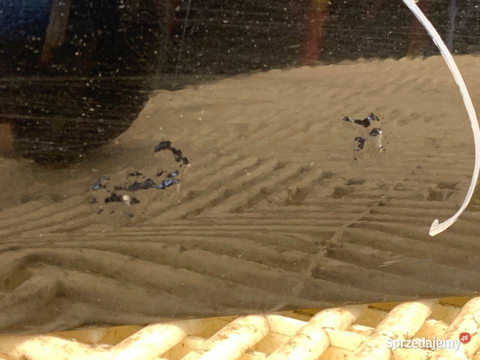 DRZWI LEWY PRZÓD BMW E64 Kabriolet 0410 CZARNY