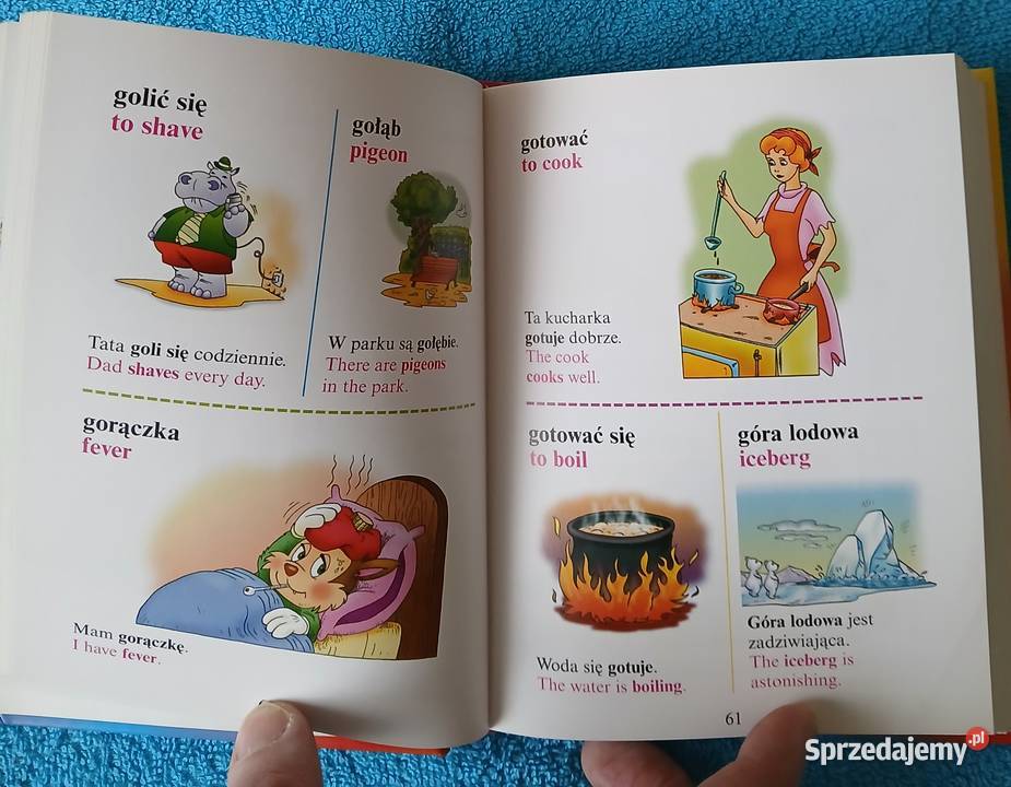 Słownik ilustrowany polskoangielski ISBN 8374234555 Książki do nauki języka obcego Bytom