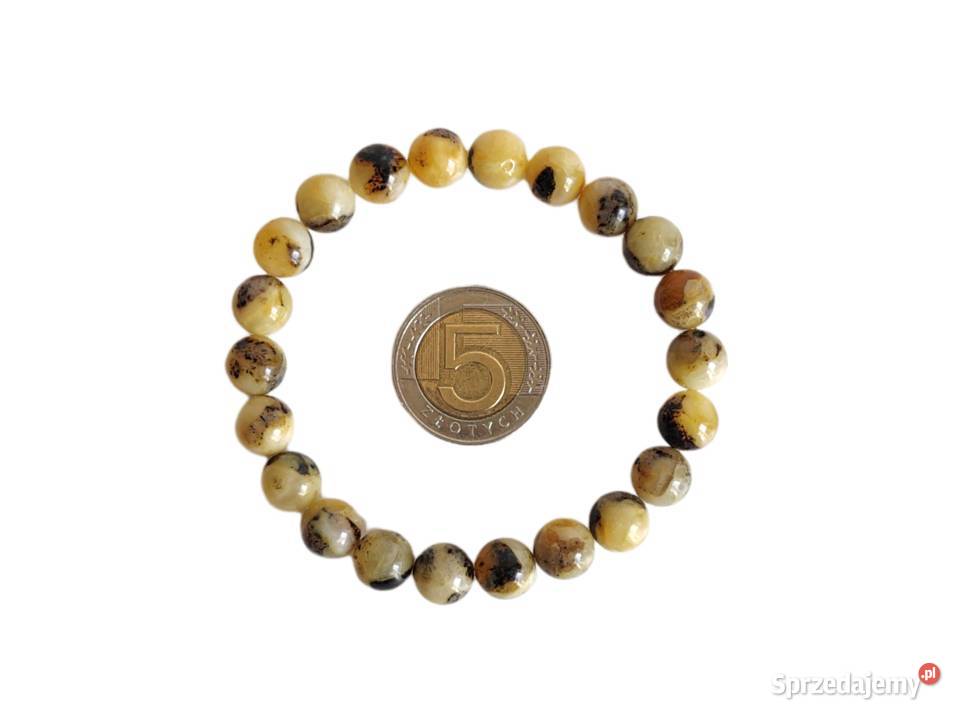 7517 Pstrokate Bursztynowe Kulki Kędzierzyn-Koźle sprzedam