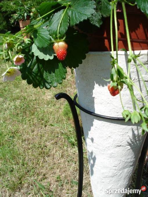 Donica ceramiczana 100 x 40 Mrozoodporna srojak Jelenia Góra