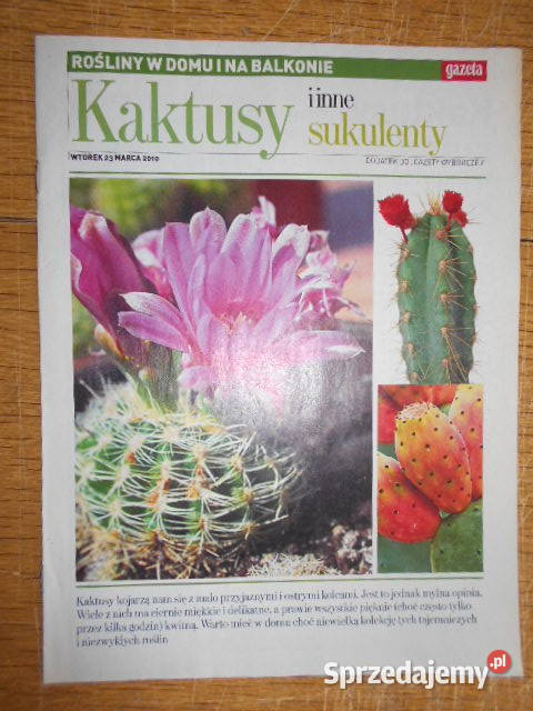 Rośliny w domu i na balkonie Kaktusy i inne miękka Parczew