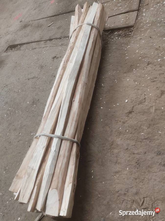 Leszczyna łupanka Leszczynowa Przemyśl