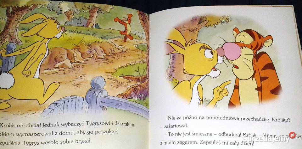 Kubuś Puchatek i przyjaciele Walt Disney Chełm