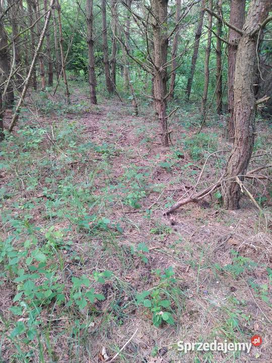 Działka budowlana z dostępem do jeziora Janopol