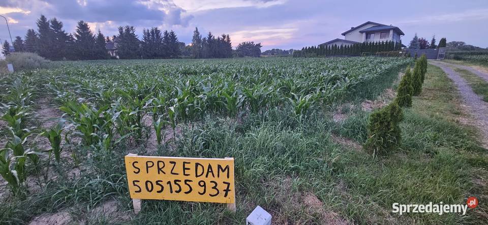 Zemborzyce Dolne 1 Gmina Konopnica Zalew dojazd budowlana sprzedam