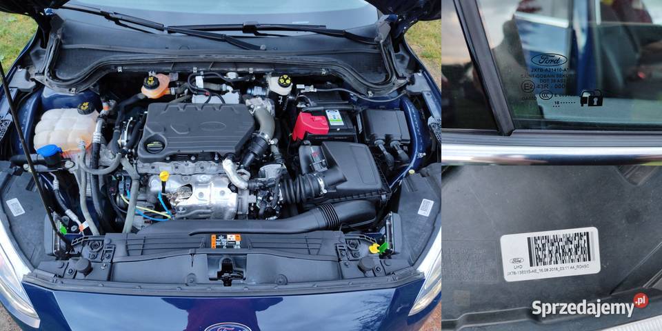 Ford Focus 15 EcoBlue StartStoppSystem TITANIUM asystent pasa ruchu Opole