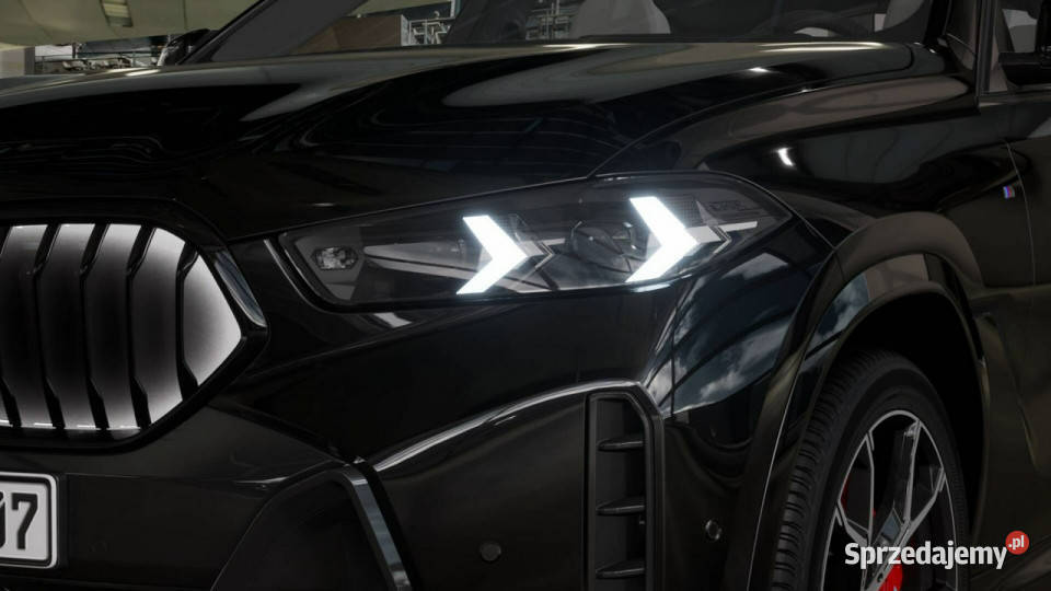 BMW X6 X6 xDrive40d Dostępne ręki G06 2019 ogrzewanie postojowe Łódź