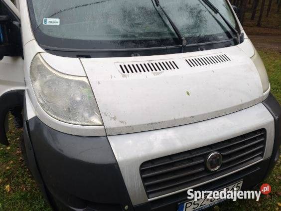 Syndyk sprzeda samochód ciężarowy Fiat Ducato sprzedam