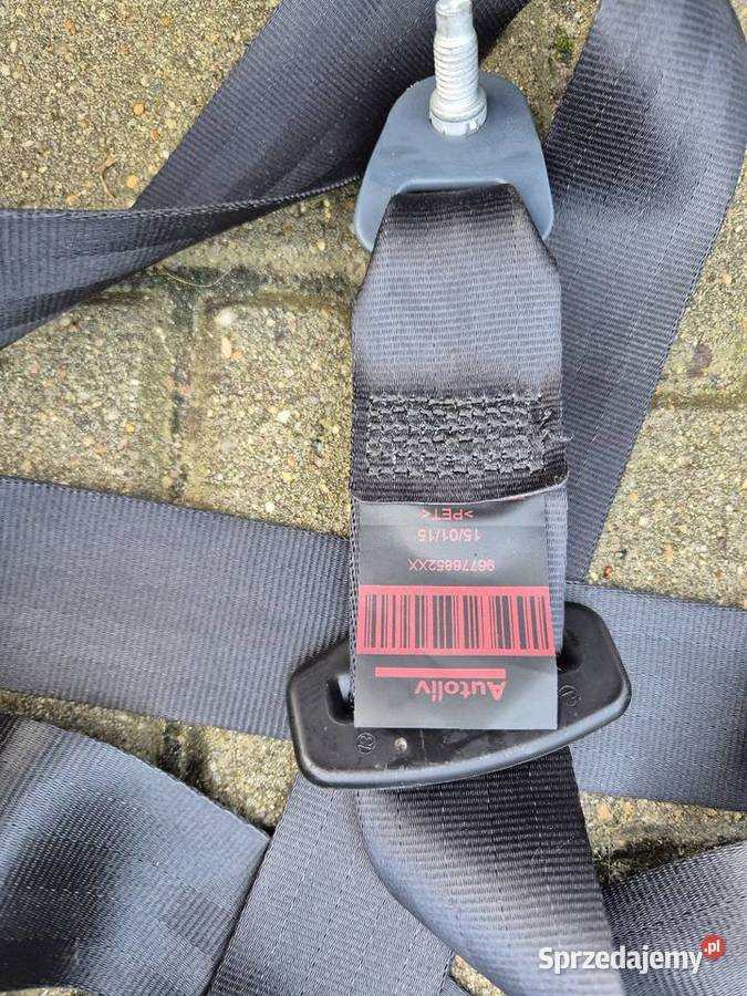 Poduszki powietrzne Peugeot 308T9 Żodyń