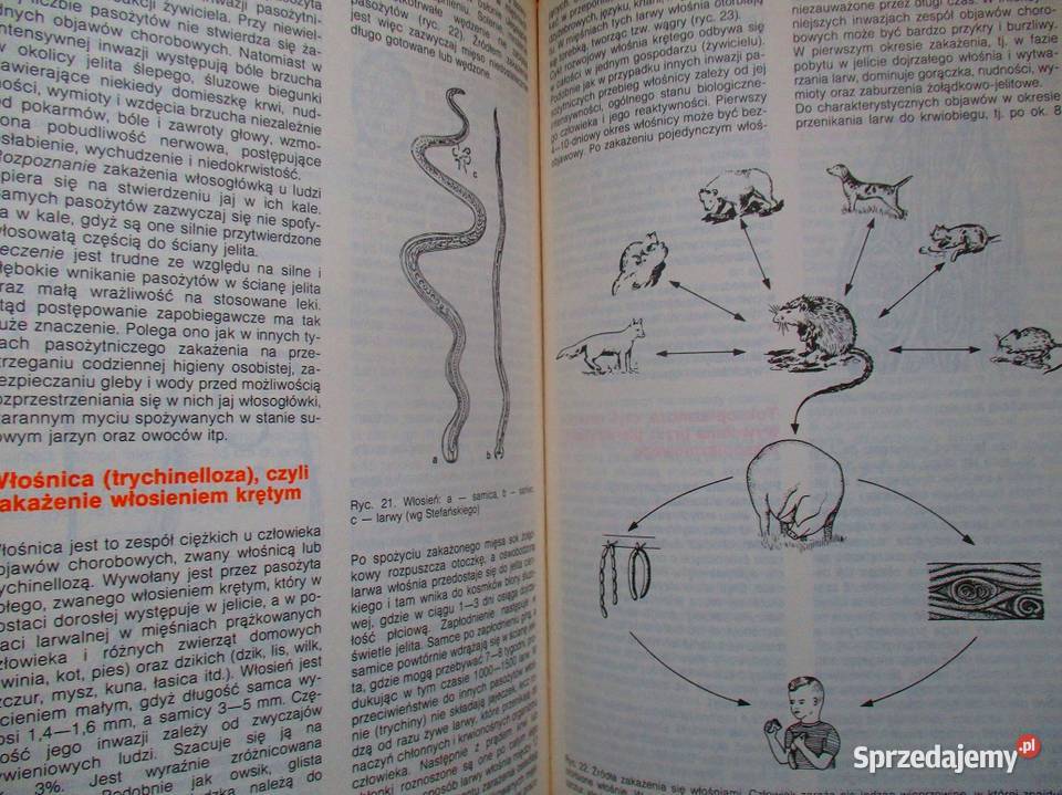Medycyna naturalna Domowy poradnik medyczny sprzedam