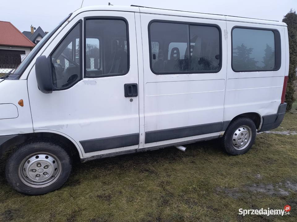 Sprzedam busa jumper Węgrów