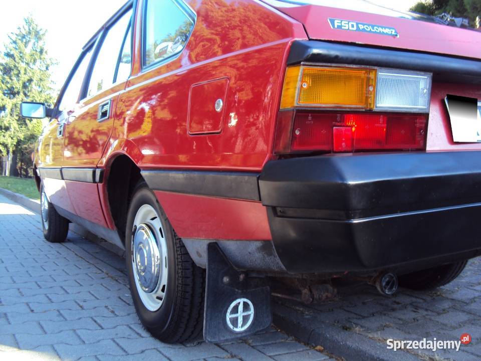 Suuper borewicz akwarium gaz zamiana mazowieckie Pruszków