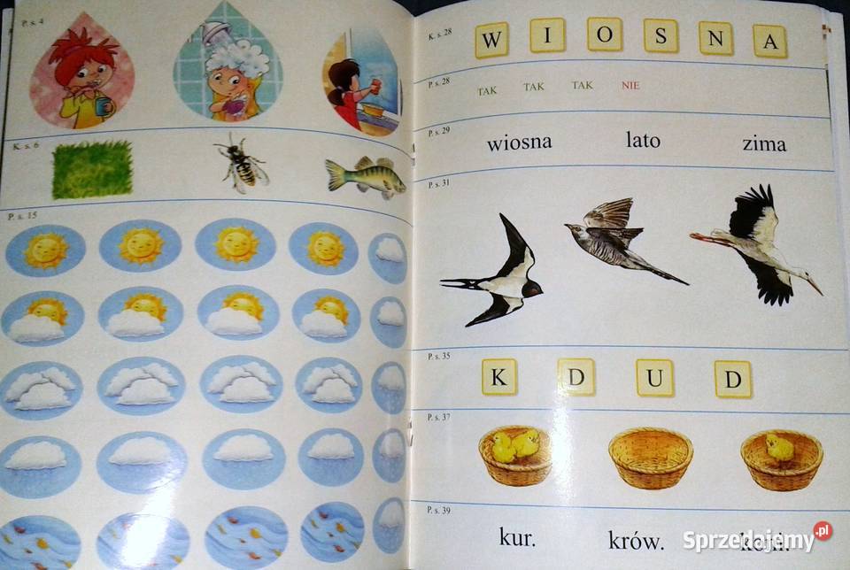 Wesoła szkoła i przyjaciele kl 1 Stanisława Chełm sprzedam