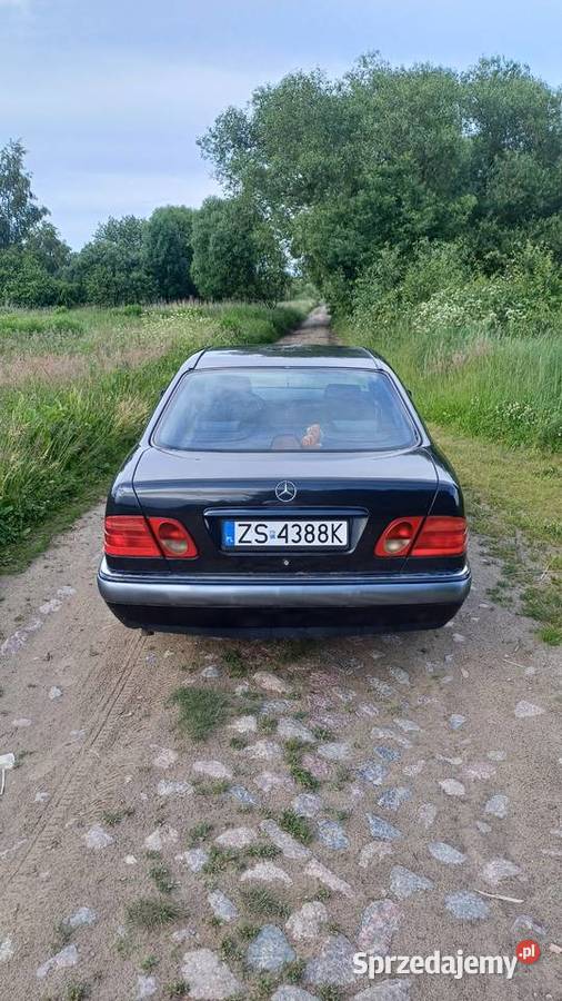 Mercedes W210 22 D Szczecin