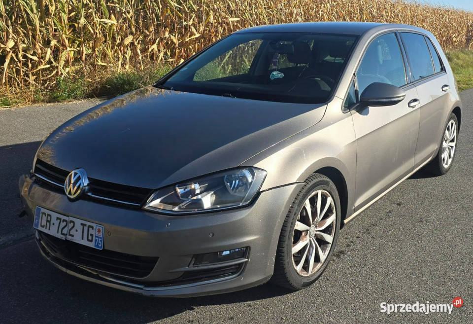 Volkswagen Golf Sutomat 160000 VII 2012 1598cm3 wielkopolskie Pleszew