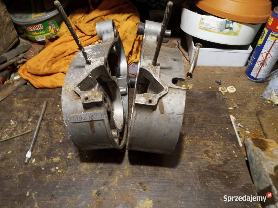 komar kartery Międzychód