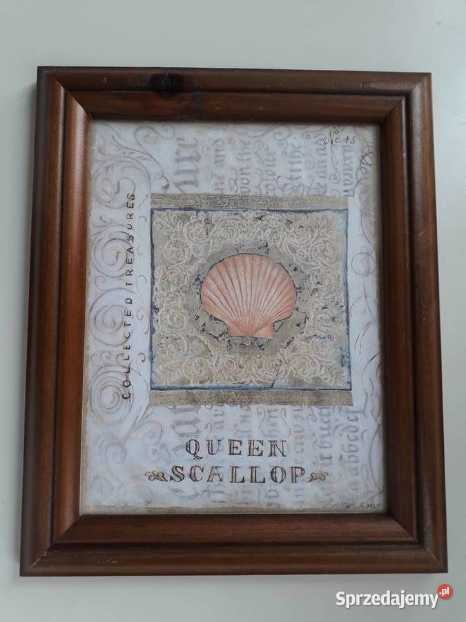 Obraz Shelly Hely wielkopolskie Koło