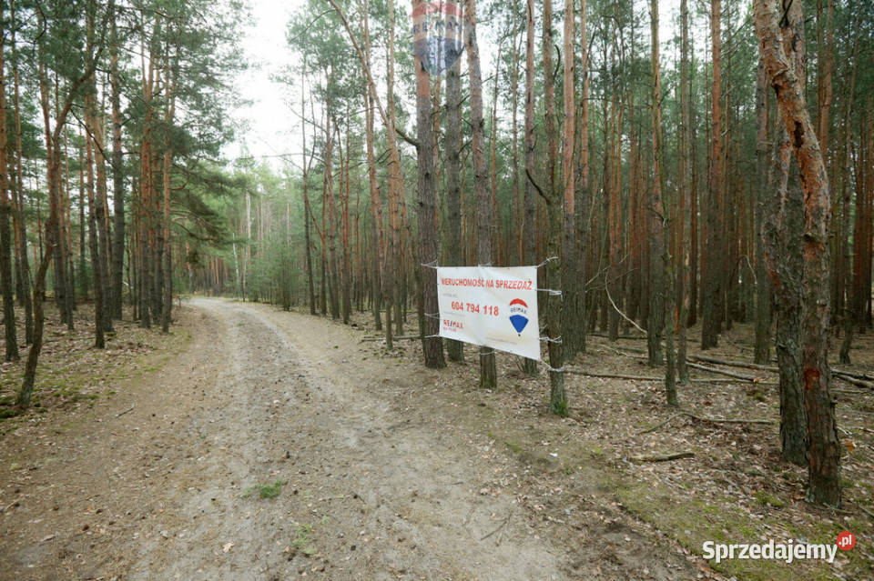 Działki pod przyszłe inwestycje Warszawa Wesoła mazowieckie