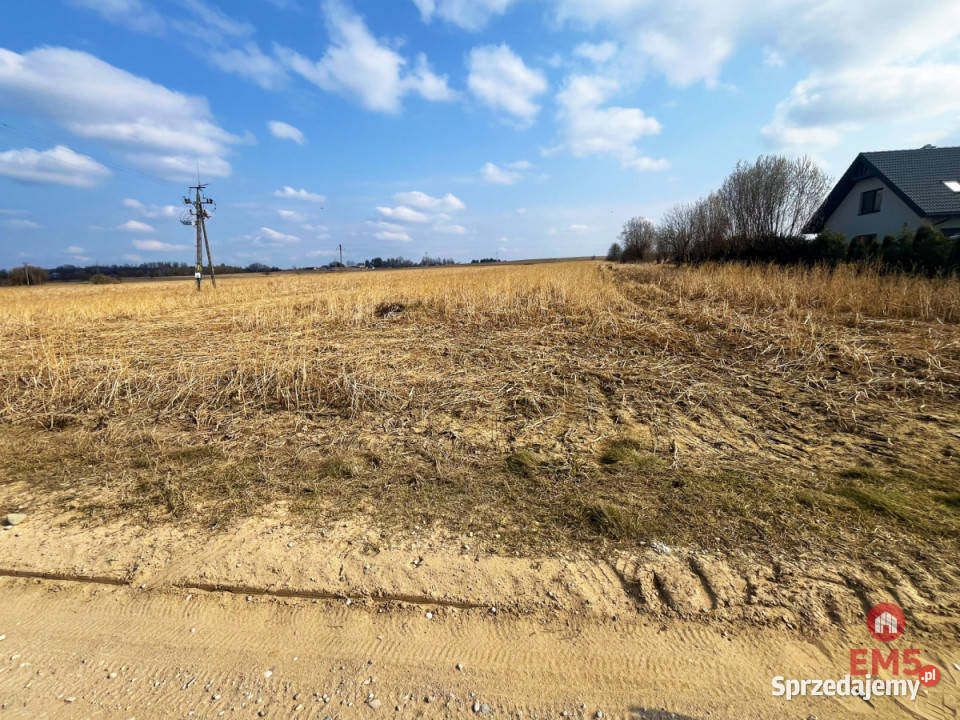 Grunt 5350m2 Nowe Aleksandrowo sprzedam