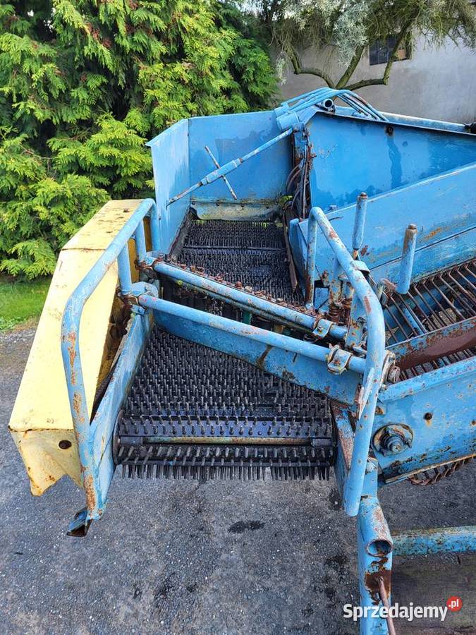 Kombajn ziemniaczany Bolko Z643 zbieracz do Osięciny
