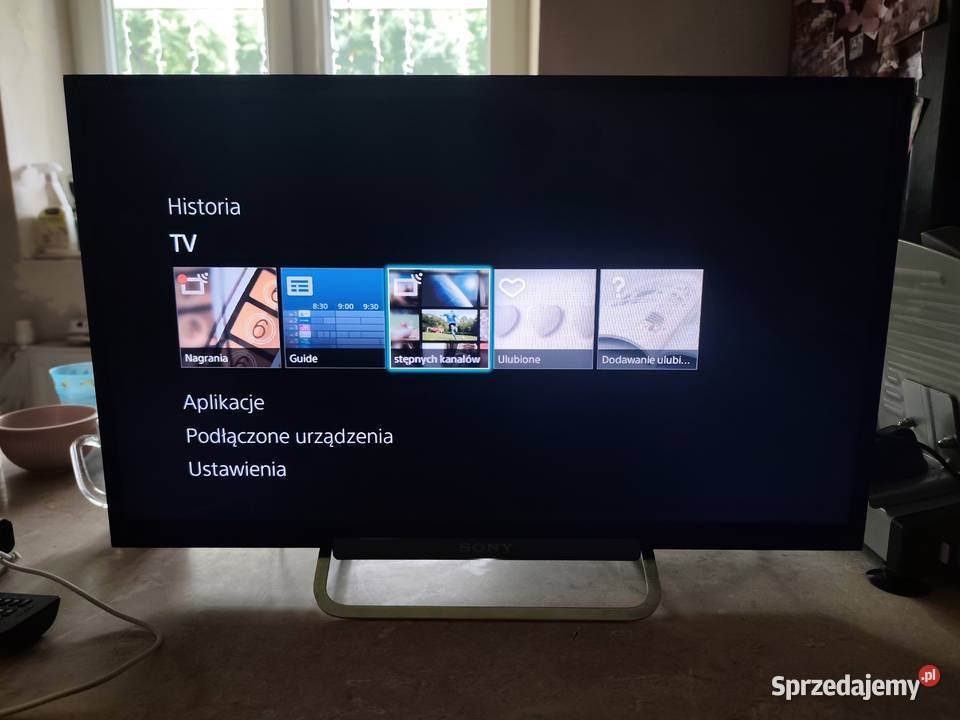 Sony Bravia 24cale Niegowa