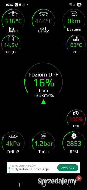 Opel Signum 19 Cdti stan czarny Golub-Dobrzyń sprzedam