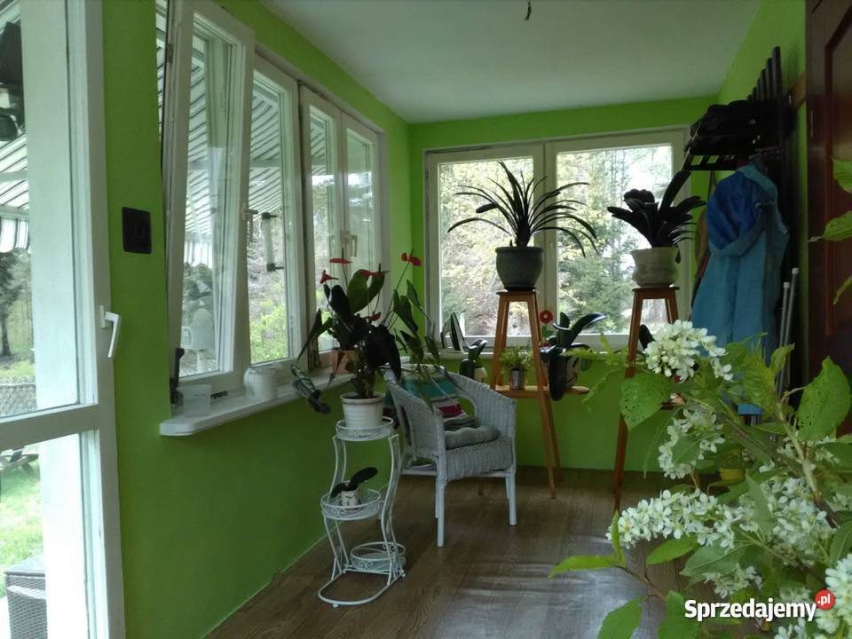 Dom pod lasem w cichym i spokojnym miejscu Domy