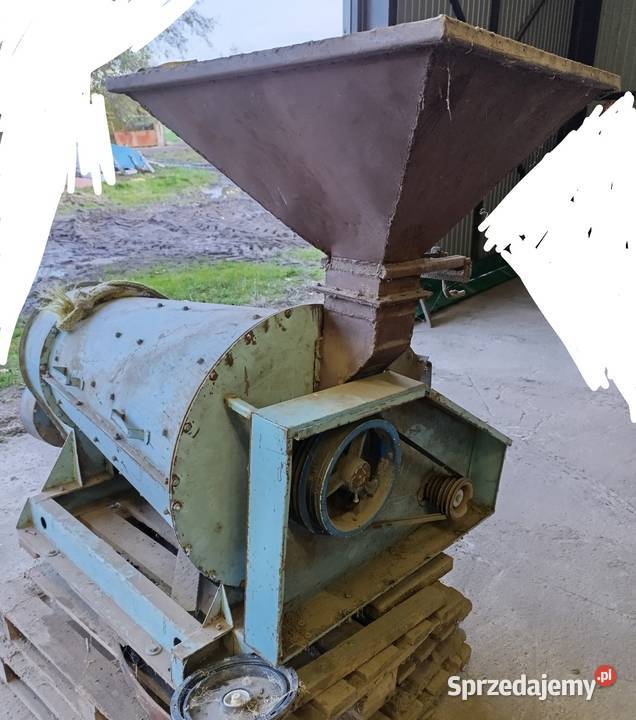 Bukownik kornelówka bukownik fortschritt petkus Szadek