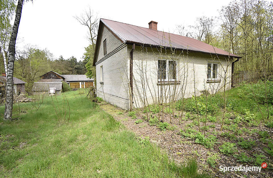 Dom w lesie Kozioł