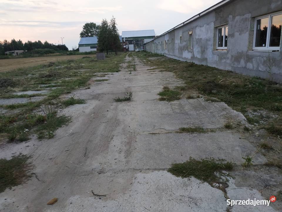 Na sprzedaż zorganizowana część przedsiębiorstwa Boguszyce sprzedam