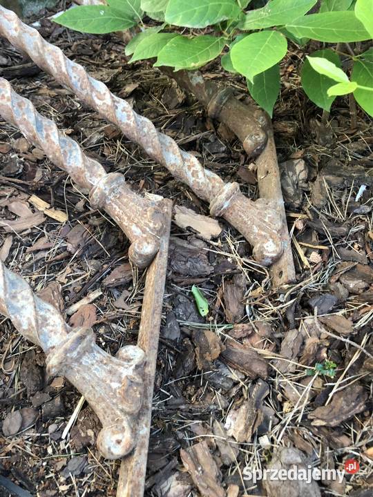 Żeliwne angielskie stare Wiktoriańskie tralki z Poznań