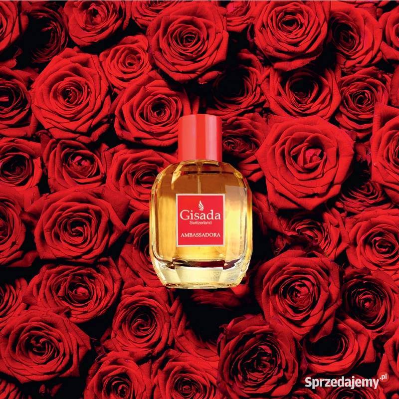Perfumy damskie Gisada Ambassadora 100 ml Białystok sprzedam
