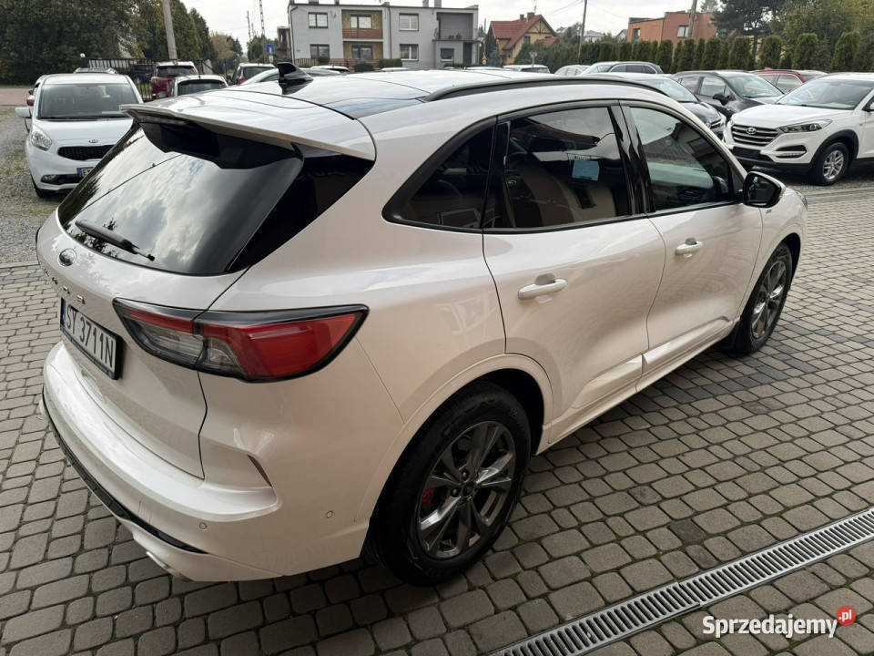 Ford Kuga Rej052023 15 150 STLine Kraj Serwis tempomat Orzech