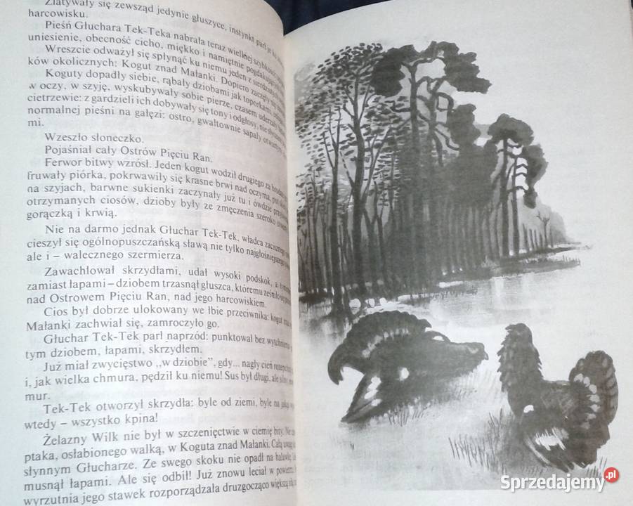 Żelazny wilk Tytus Karpowicz Książki i Podręczniki Chełm sprzedam