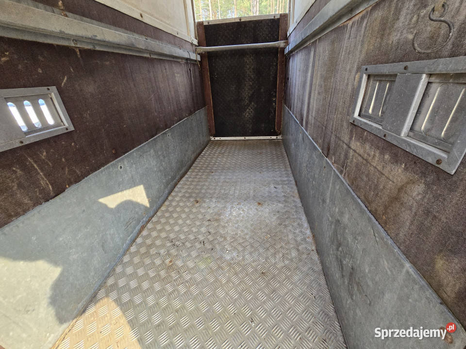 Przyczepa do przewozu koni zwierząt PONGRATZ PA Korpele sprzedam