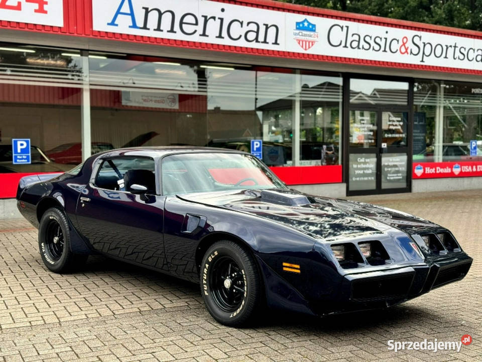 Pontiac Firebird Trans Am MIDNIGHT BLUE 1981 do automatyczna Sulechów sprzedam
