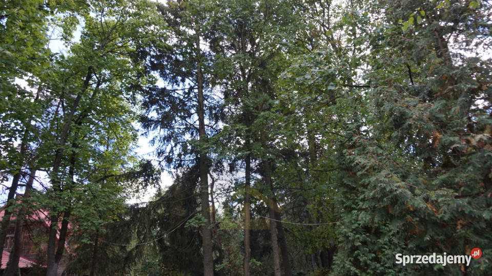 Działka budowlana w Józefowie Józefów