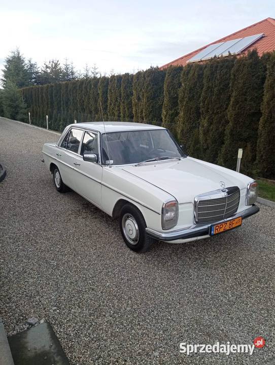Mercedes W115 Przeworsk