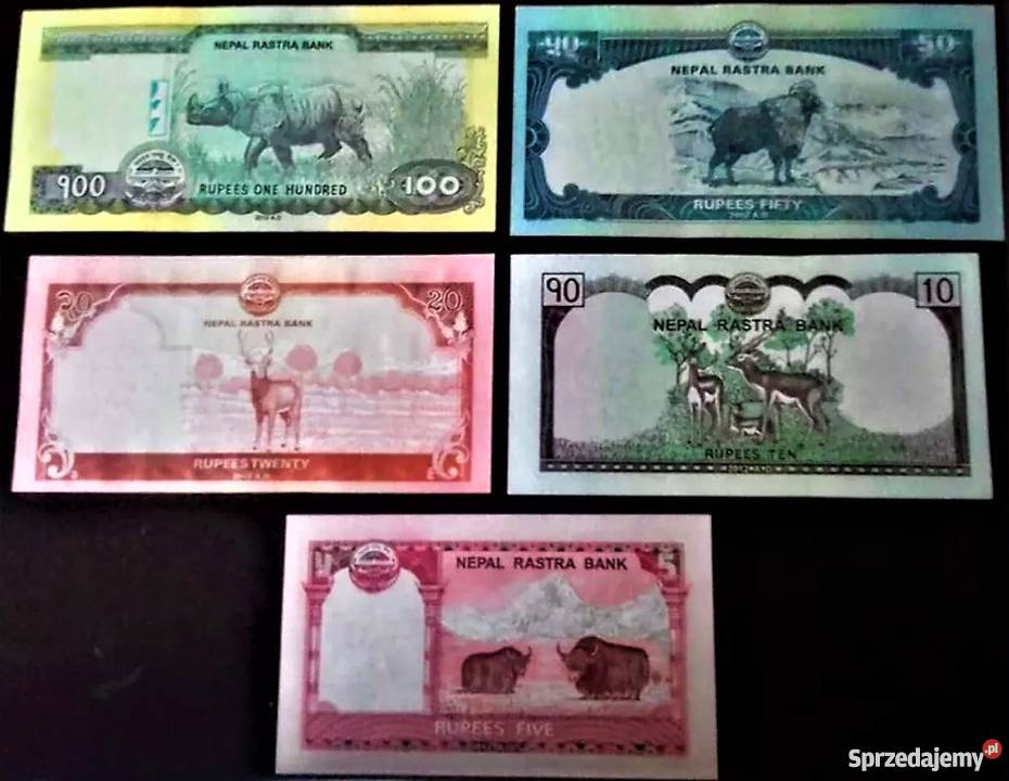 NEPAL 2012 UNC Człuchów